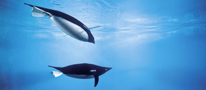 1341-aquapenguin-2140x940px