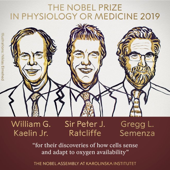 premio-nobel5
