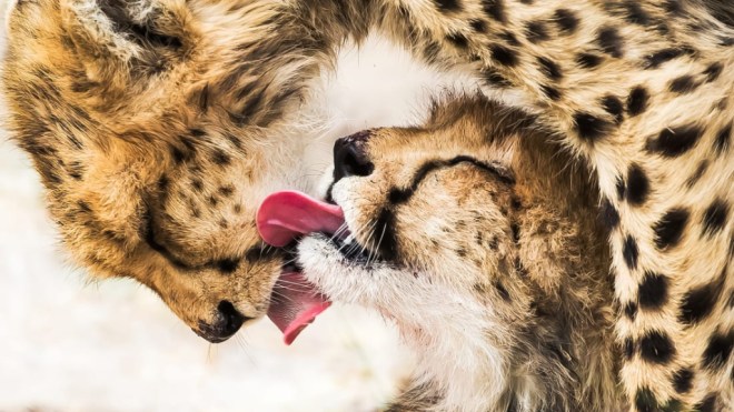 Sony World Photography4