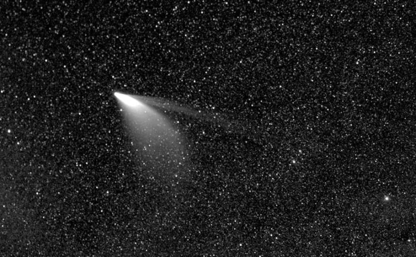 Cometa Neowise